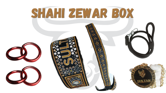 SHAHI ZEWAR BOX