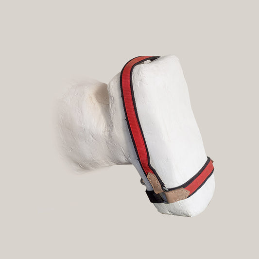 Nylon Eco