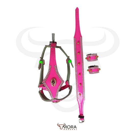 Bakra Vibe: 3 Piece Set
