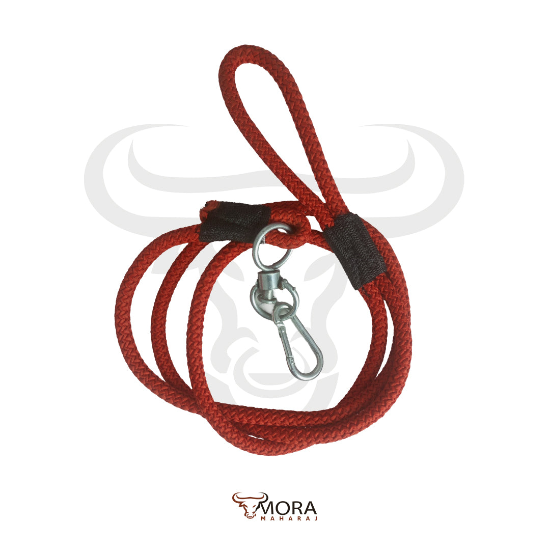 Leash (8mm)