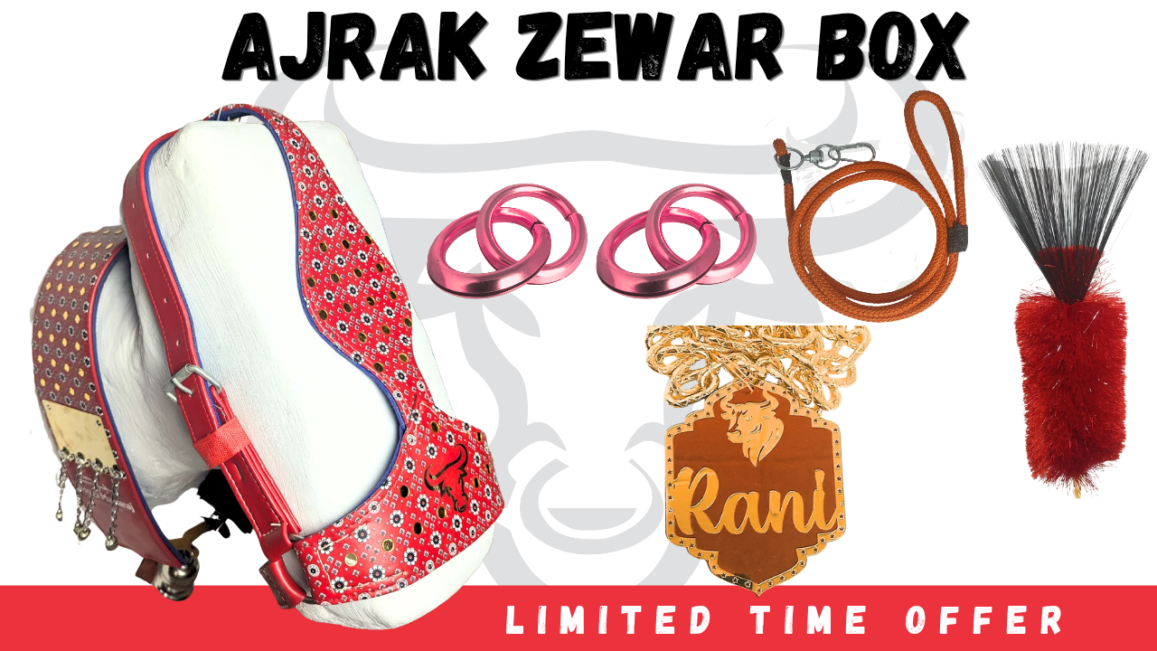 Ajrak Box (Red)