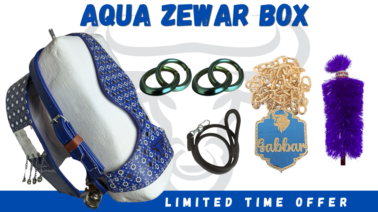 Aqua Zewar Box
