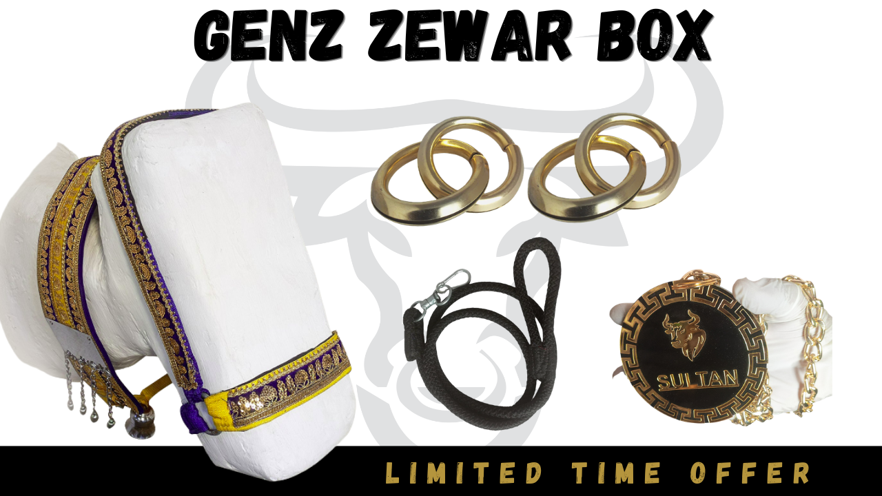 GenZ Zewar Box