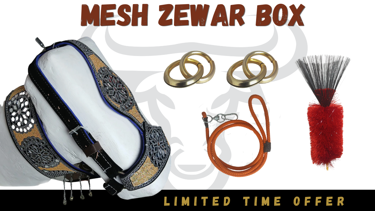MESH ZEWAR BOX